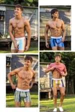 BÓXER ALGODÓN Y LYCRA BATIK. ACROBATA - Cod 5052